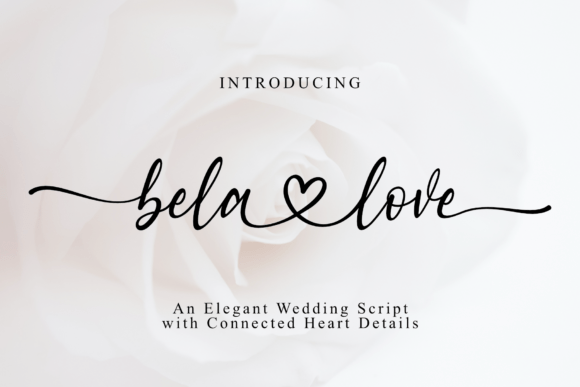 Bela Love: A Romantic Script Font for Brand Identity